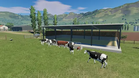 Cows grazing in front of the barn